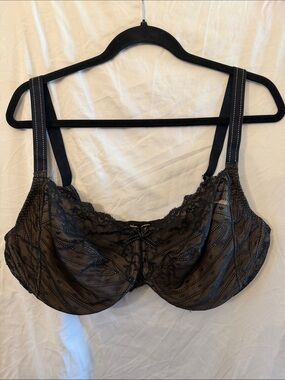 Sheer Lace Underwire Bra in Black - Women Intimates